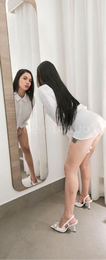 NuevoLoquo2