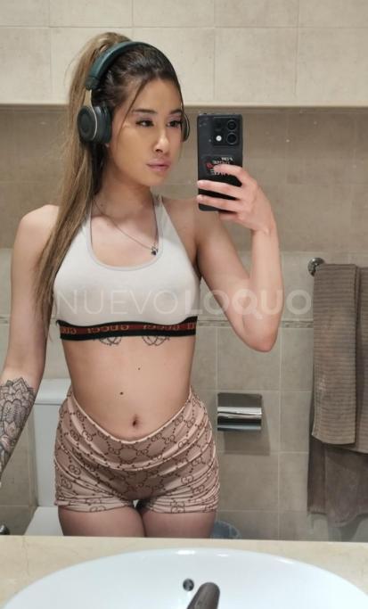 NuevoLoquo3