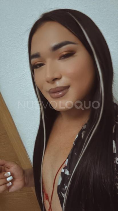 NuevoLoquo5