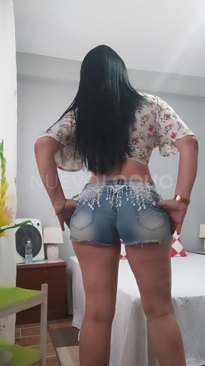 NuevoLoquo3