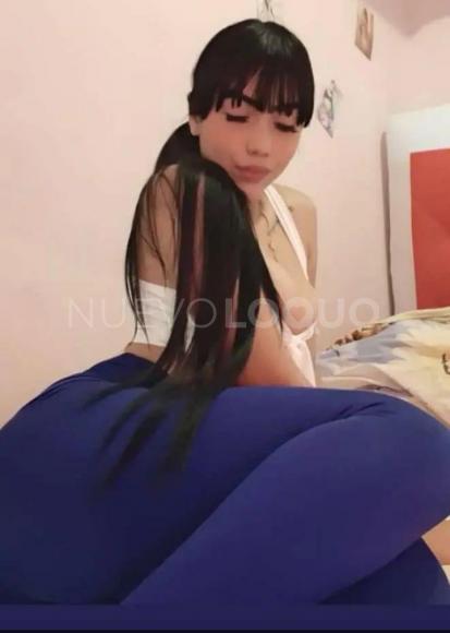 NuevoLoquo2