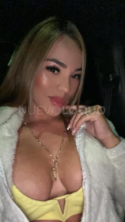 NuevoLoquo1