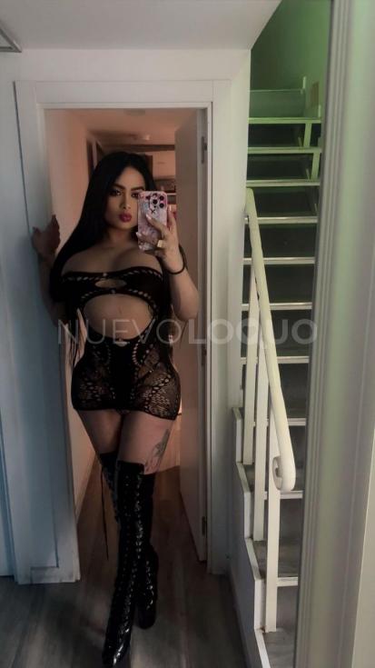 NuevoLoquo3