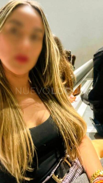 NuevoLoquo3