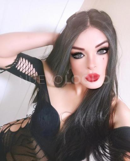 NuevoLoquo2