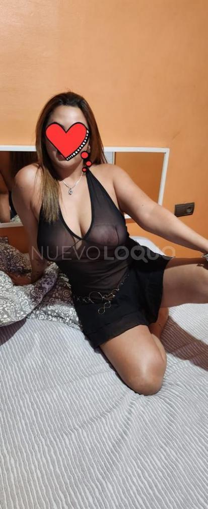NuevoLoquo3