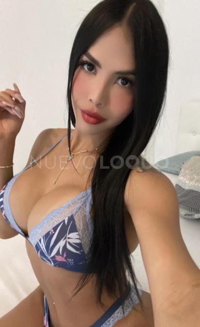 NuevoLoquo5