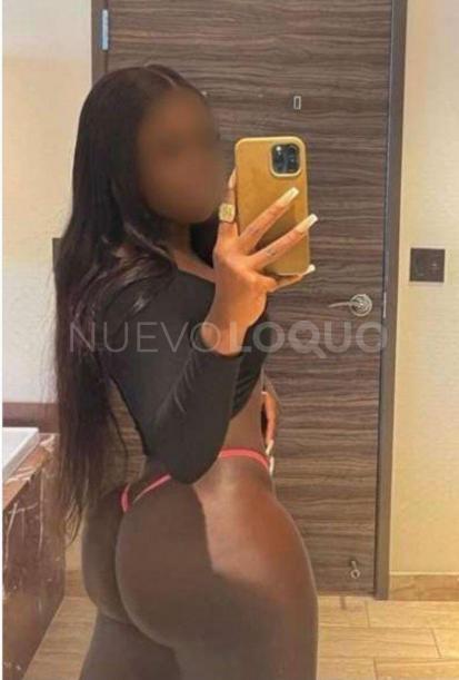 NuevoLoquo3