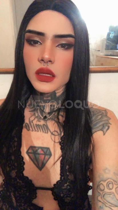 NuevoLoquo3