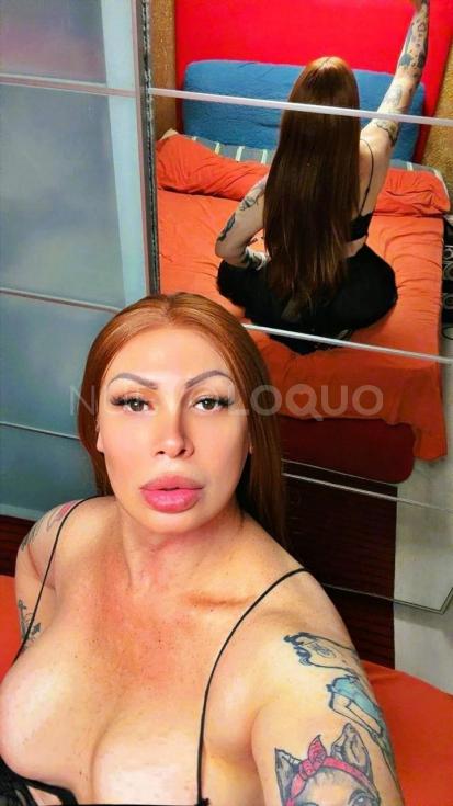 NuevoLoquo2