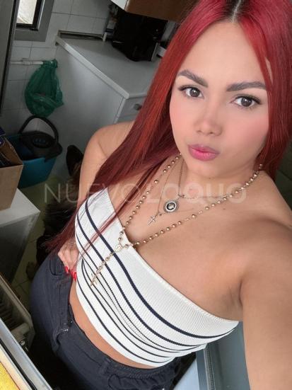 NuevoLoquo3