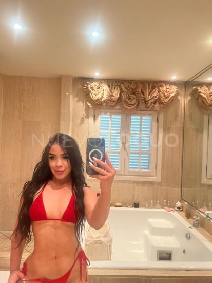 NuevoLoquo3