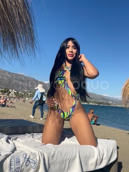NuevoLoquo4
