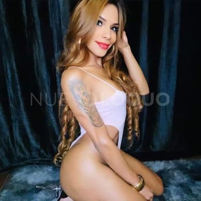 NuevoLoquo3