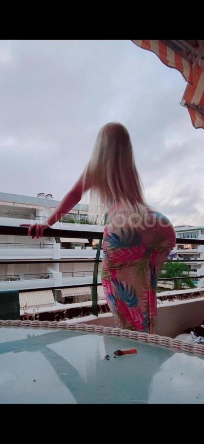 NuevoLoquo3