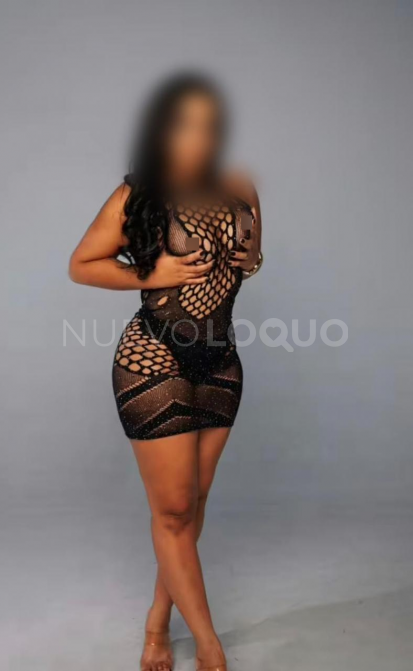 NuevoLoquo3