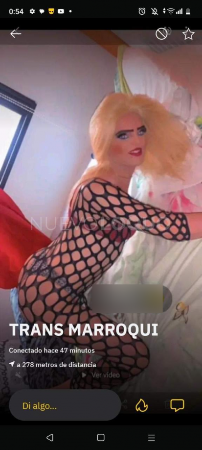 NuevoLoquo3