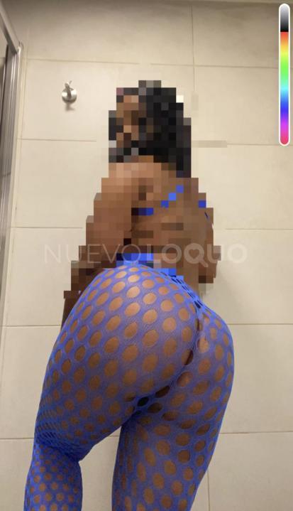 NuevoLoquo1