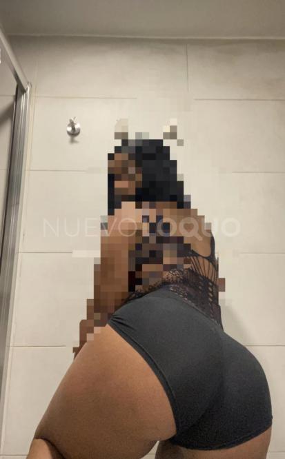 NuevoLoquo4