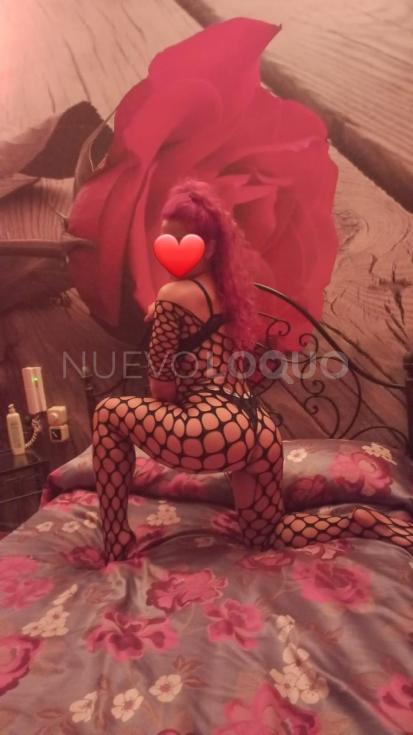 NuevoLoquo4