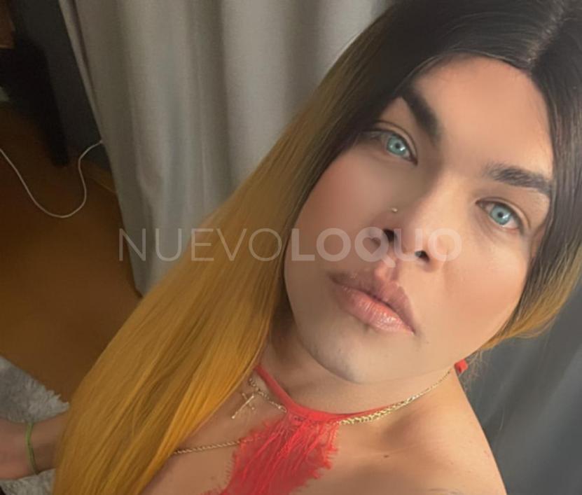  ALANNA NOVEDAD LATINA