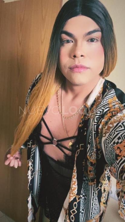 NuevoLoquo1