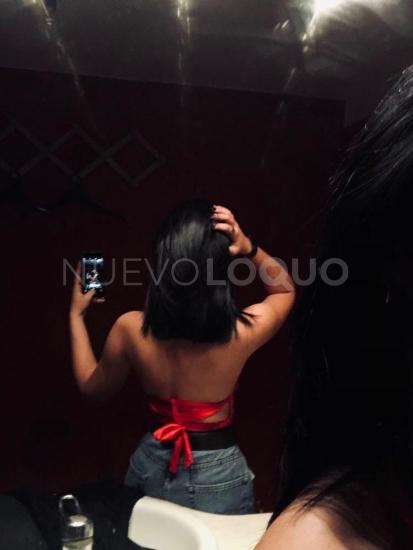 NuevoLoquo2