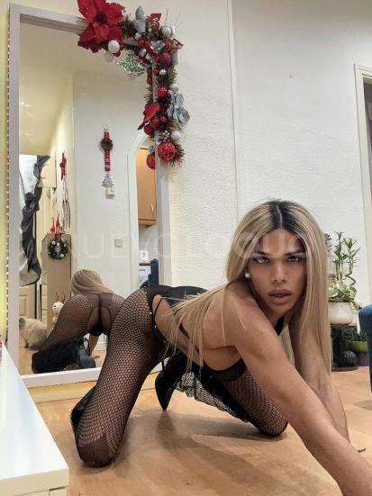 NuevoLoquo4