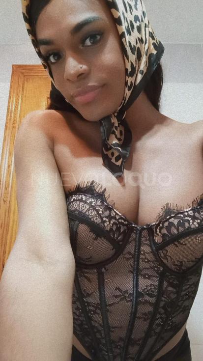 NuevoLoquo5