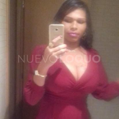 NuevoLoquo1