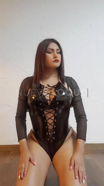 NuevoLoquo3