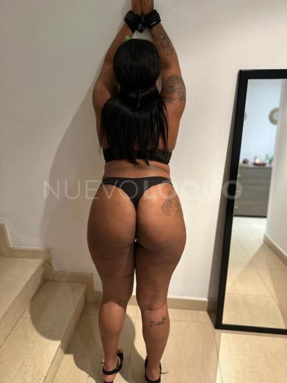 NuevoLoquo5