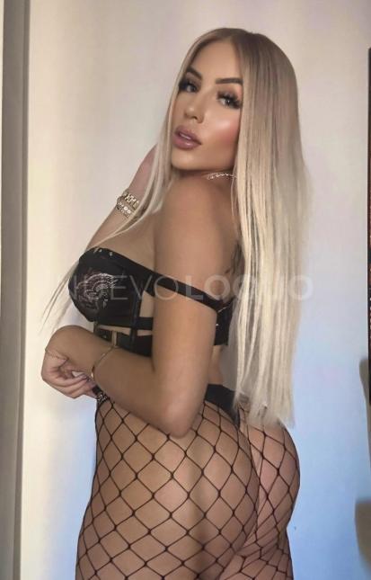 NuevoLoquo2