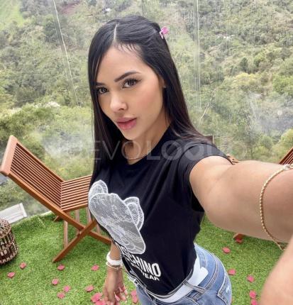 NuevoLoquo3