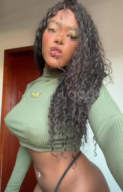 NuevoLoquo3