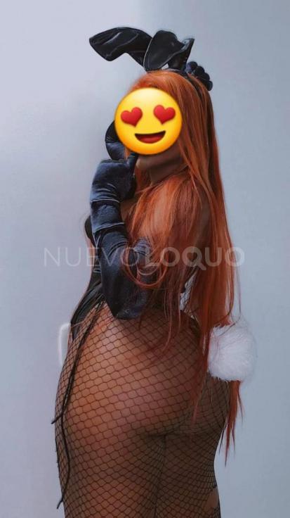 NuevoLoquo0