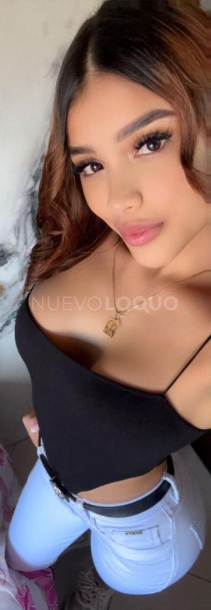 NuevoLoquo3
