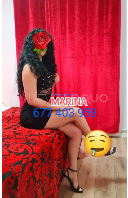 NuevoLoquo3