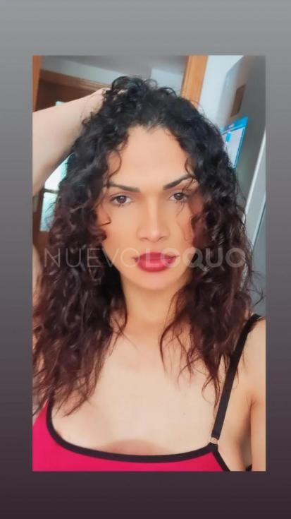 NuevoLoquo4