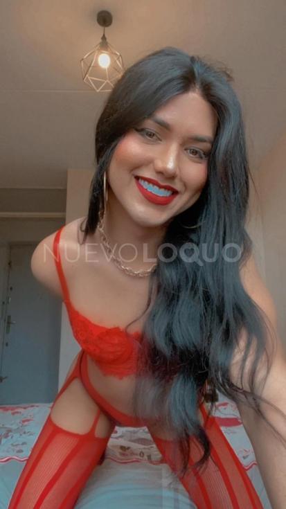 contactos pasion