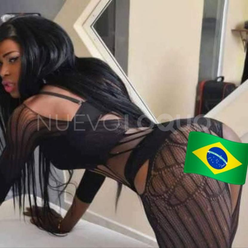 NuevoLoquo1