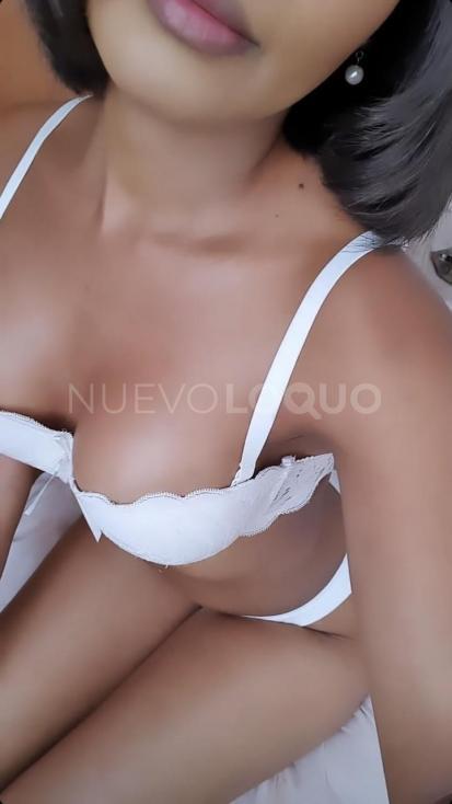 NuevoLoquo1