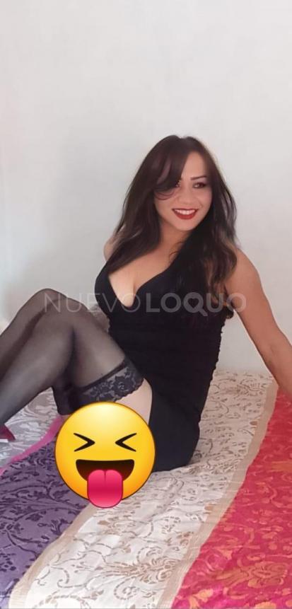 NuevoLoquo2