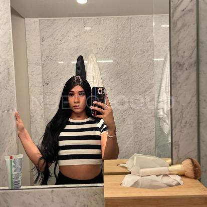 NuevoLoquo1