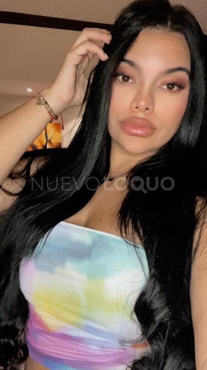 NuevoLoquo3