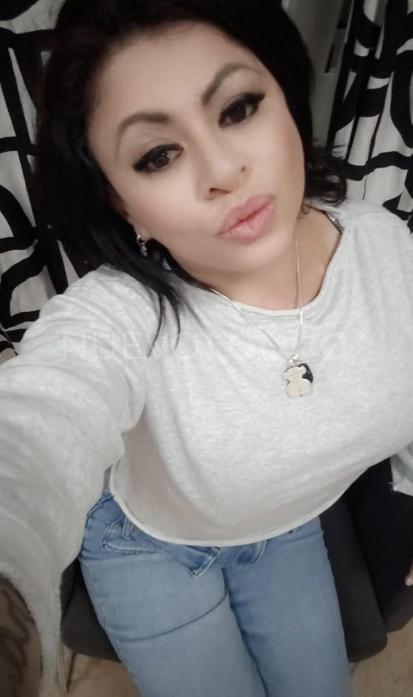 NuevoLoquo3