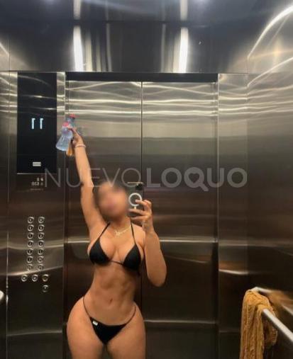 NuevoLoquo3