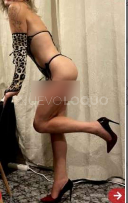 NuevoLoquo4
