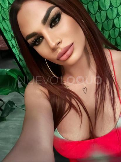NuevoLoquo2