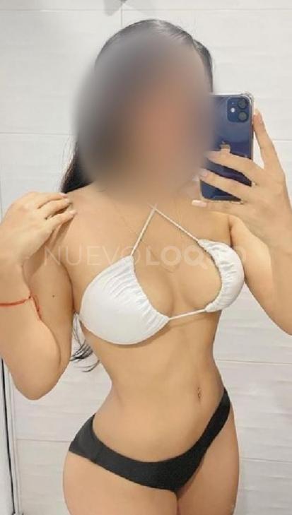 NuevoLoquo2